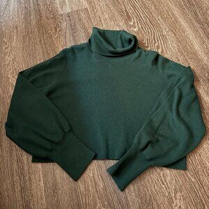 aritzia wilfred rebecca turtleneck in AVENTURINE green